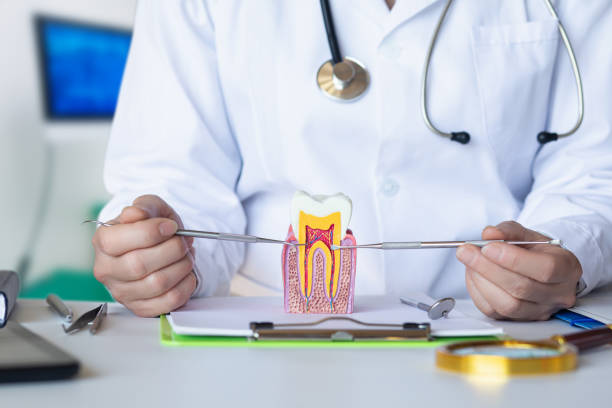 Best Emergency Dental Care for Abscessed Tooth in Trezevant, TN